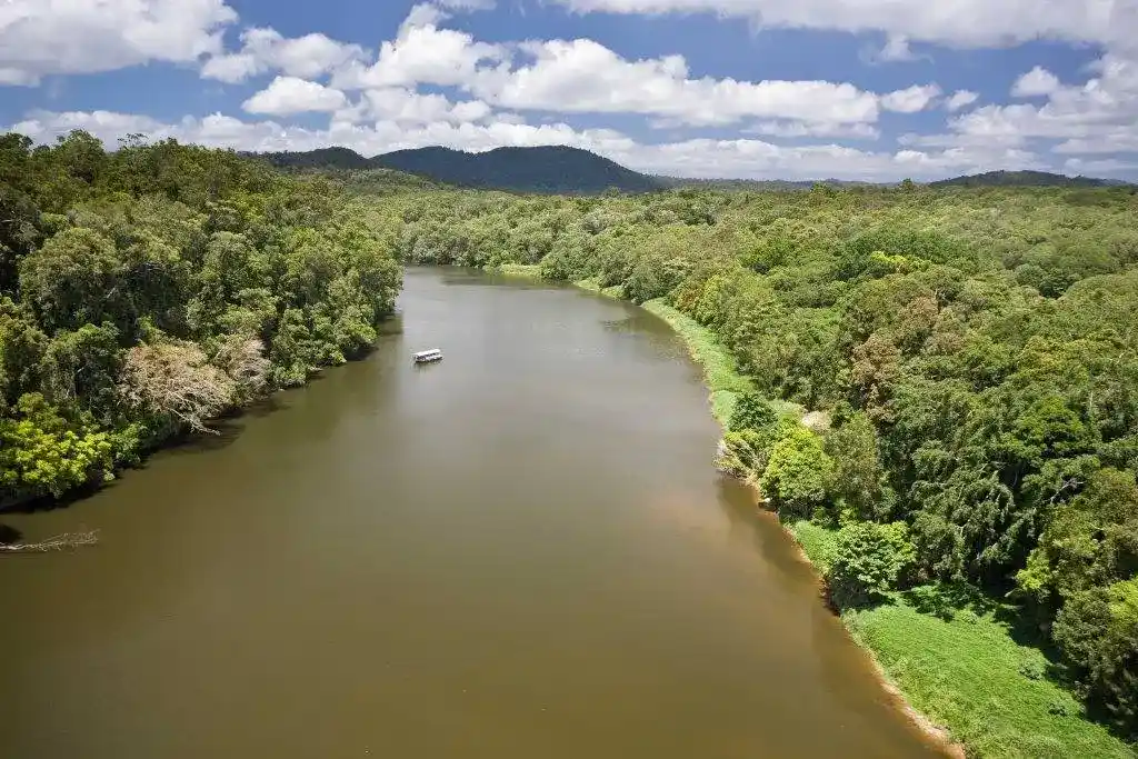 Cairns and the Daintree Rainforest