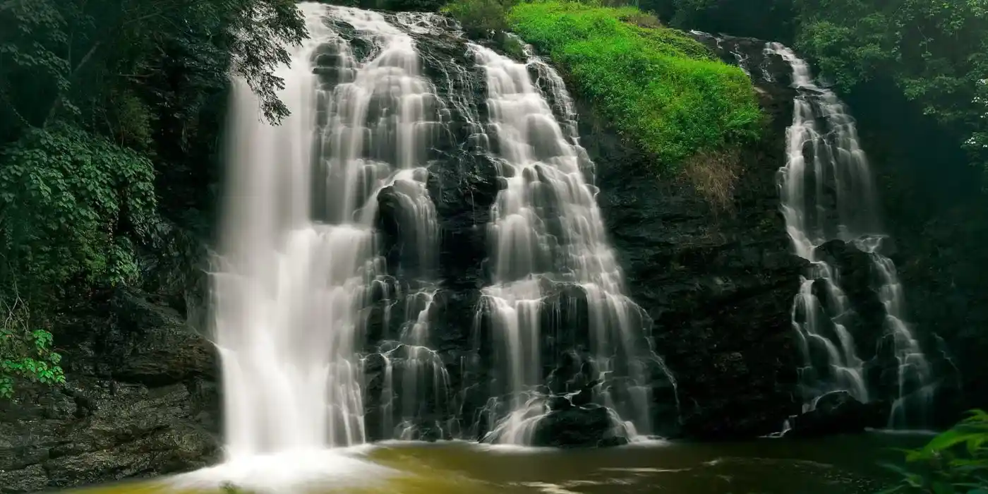 Coorg & Bandipur