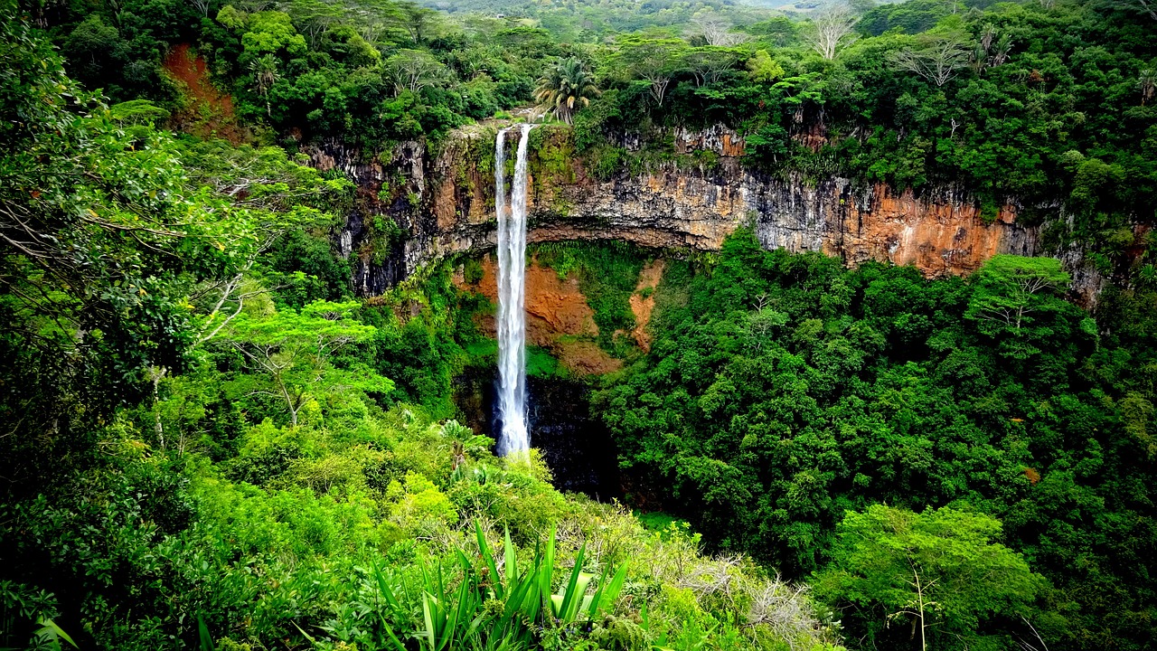 Mauritius Wildlife Adventure