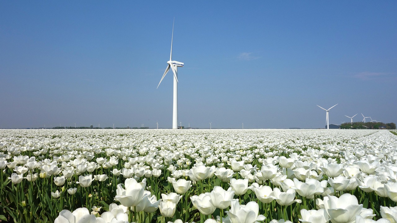 Dutch Windmills & Waterways